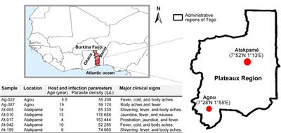 Genome-Wide Analysis of the Malaria Parasite Plasmodium falciparum Isolates From Togo Reveals Selective Signals in Immune Selection-Related Antigen Genes